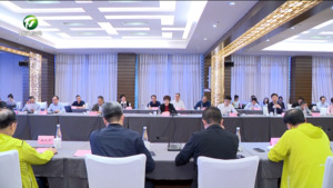 共谋发展 共商合作 共话未来 创业板C28董事长俱乐部考察团黄山市考察座谈会·新安茶会召开