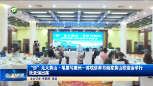 “侨”见大黄山·笔墨写徽州—苏皖侨界书画家黄山联谊会举行 张亚强出席