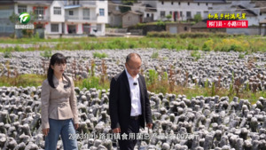 【和美乡村满天星——乡镇党委书记话振兴】许跃飞：“以产兴镇、以业富民”