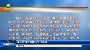 凌云与刘子力举行工作会谈