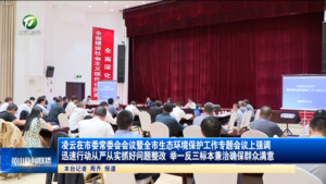 凌云在市委常委会会议暨全市生态环境保护工作专题会议上强调 迅速行动从严从实抓好问题整改 举一反三标本兼治确保群众满意