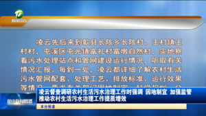 凌云督查调研农村生活污水治理工作时强调 因地制宜 加强监管 推动农村生活污水治理工作提质增效