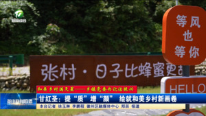 【和美乡村满天星——乡镇党委书记话振兴】甘红圣：提“质”增“颜” 绘就和美乡村新画卷