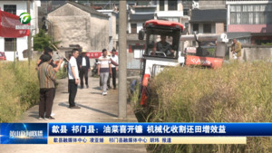 歙县 祁门县：油菜喜开镰 机械化收割还田增效益