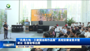 “风拂大地—王建国油画作品展”亮相安徽省美术馆 凌云 伍春宏等出席