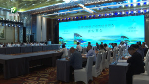 徽州臭鳜鱼产业发展推进会·新安茶会召开 何毅 张明 江卓琪等出席