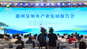 徽州臭鳜鱼产业发展报告会召开 江卓琪出席