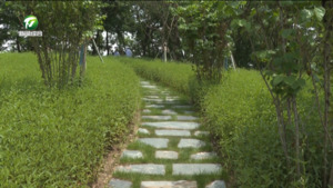 【加快建设“新安江—千岛湖生态环境共同保护合作区”】（2）屯溪区：追“清”逐“绿” 倾力守护“一江碧水出新安”