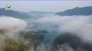 【加快建设“新安江—千岛湖生态环境共同保护合作区”】（3）黄山区：以绿为底 着墨生态  绘就发展新篇章
