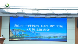 黄山市“千村引领、万村升级”工程5月调度推进会在徽州区召开 江卓琪出席