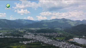 【聚力大黄山核心高地建设 加快打造高端服务产业】（10）：黟县：“黟”见民宿徽州梦
