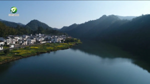 【加快建设“新安江—千岛湖生态环境共同保护合作区”】（4）徽州区：点面结合做好生态保护 守好绿色青山“高颜值”