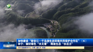 【加快建设“新安江—千岛湖生态环境共同保护合作区”】（6）休宁：做好绿色“水文章” 释放生态“水活力”