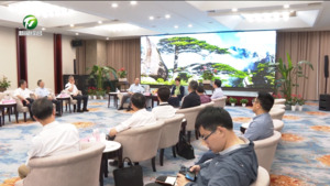 凌云与艾立民等嘉宾代表举行工作会谈叶建强参加