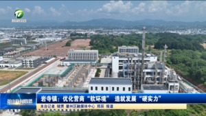 岩寺镇：优化营商“软环境”造就发展“硬实力”