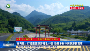 【和美乡村满天星——乡镇党委书记话振兴】谢再胜：打造康养旅游特色小镇 助推乡村休闲旅游新篇章