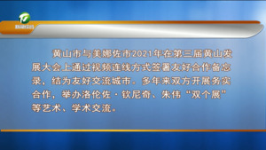 凌云与意大利美娜佐市市长签署友好合作备忘录