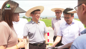 何毅赴黟县调研时强调 稳妥有序推进农村集体经营性建设用地入市 戴炜等参加