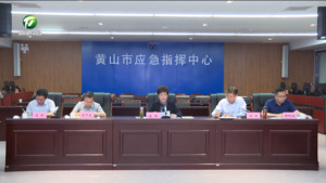 凌云在全市防汛工作视频调度会上强调 以严的要求、实的作风推动防汛各项措施落到实处 任生主持会议
