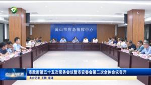 市政府第五十五次常务会议暨市安委会第二次全体会议召开