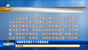 市政府召开第五十六次常务会议