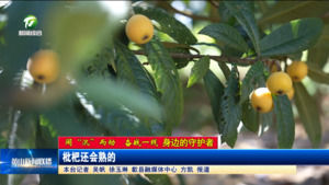 【闻“汛”而动 奋战一线——身边的守护者】枇杷还会熟的