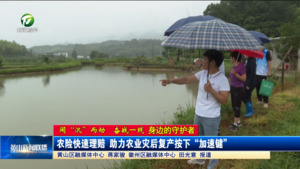 【闻“汛”而动 奋战一线——身边的守护者】农险快速理赔 助力农业灾后复产按下“加速键”