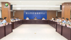 市政府党组（扩大）会暨理论学习中心组学习会召开 何毅主持 任生 张亚强 王恒来 江卓琪 戴炜等参加