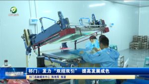 祁门：发力“双招双引” 提高发展成色