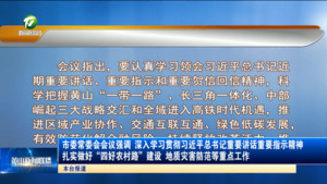 市委常委会会议强调 深入学习贯彻习近平总书记重要讲话重要指示精神 扎实做好“四好农村路”建设 地质灾害防范等重点工作