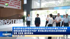 凌云督导省生态环境保护督察典型案例及交办信访件整改工作时强调 统筹高质量发展和高水平保护 更好满足群众对优美生态环境的期待  张明 张亚强 戴炜等参加