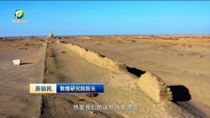苏伯民：让传统文化在新时代绽放华彩