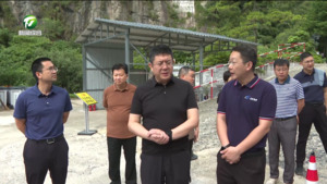 单向前来我市调研时强调扎实做好防灾救灾和黄山松保护工作