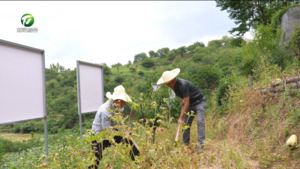 歙县北岸镇：坚定重建美好家园信心 开展灾后各项恢复工作（寻找黄山的亲人）