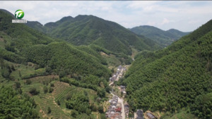 程彩玲：代卖农特产品助乡邻