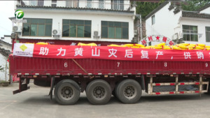 助力黄山洪灾后农业复耕复产 省供销社爱心企业向歙县捐赠农资 任生出席
