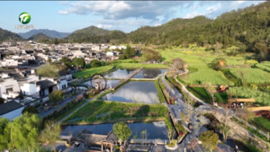 发展高质量休闲度假经济 推进大黄山核心高地建设