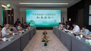 万里茶道遗产点保护利用·新安茶会在武汉召开  凌云讲话  张亚强主持