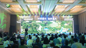 “四季黄山 相约夏天”发布会走进武汉市 凌云出席 叶建强主持  张亚强 方颖等参加