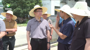 何毅赴黄山区调研督导省生态环境保护督察典型案例问题整改和存量资产盘活工作时强调 从严从实动真碰硬抓好问题整改落实 有力有序有效推进存量资产盘活利用  戴炜等参加