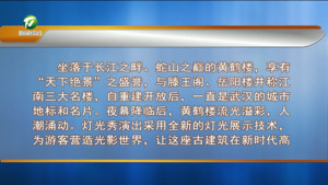 凌云率队赴武汉市黄鹤楼片区考察时强调  点亮“夜经济”激活“夜消费”让夜游文旅成为服务人民群众美好生活的澎湃动能  叶建强 张亚强 方颖参加