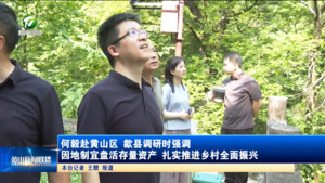 何毅赴黄山区歙县调研时强调 因地制宜盘活存量资产 扎实推进乡村全面振兴