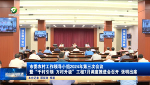 市委农村工作领导小组2024年第三次会议暨“千村引领 万村升级”工程7月调度推进会召开 张明出席