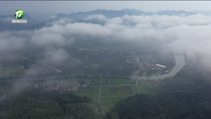 【新产品 新场景 新业态】（3）山水之间 乡村旅游添“潮范儿”