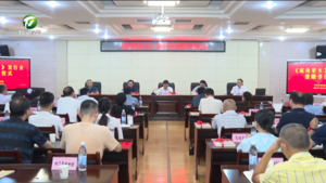 《皖南星火》正式公开发行