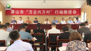 我市召开“万企兴万村”行动推进会