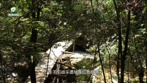 【百名村官话振兴】祁门龙源村