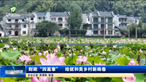 财政“四篇章”  绘就和美乡村新画卷