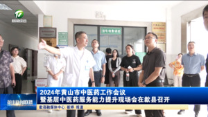 2024年黄山市中医药工作会议暨基层中医药服务能力提升现场会在歙县召开