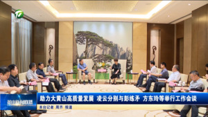 助力大黄山高质量发展 凌云分别与彭练矛方东玲等举行工作会谈